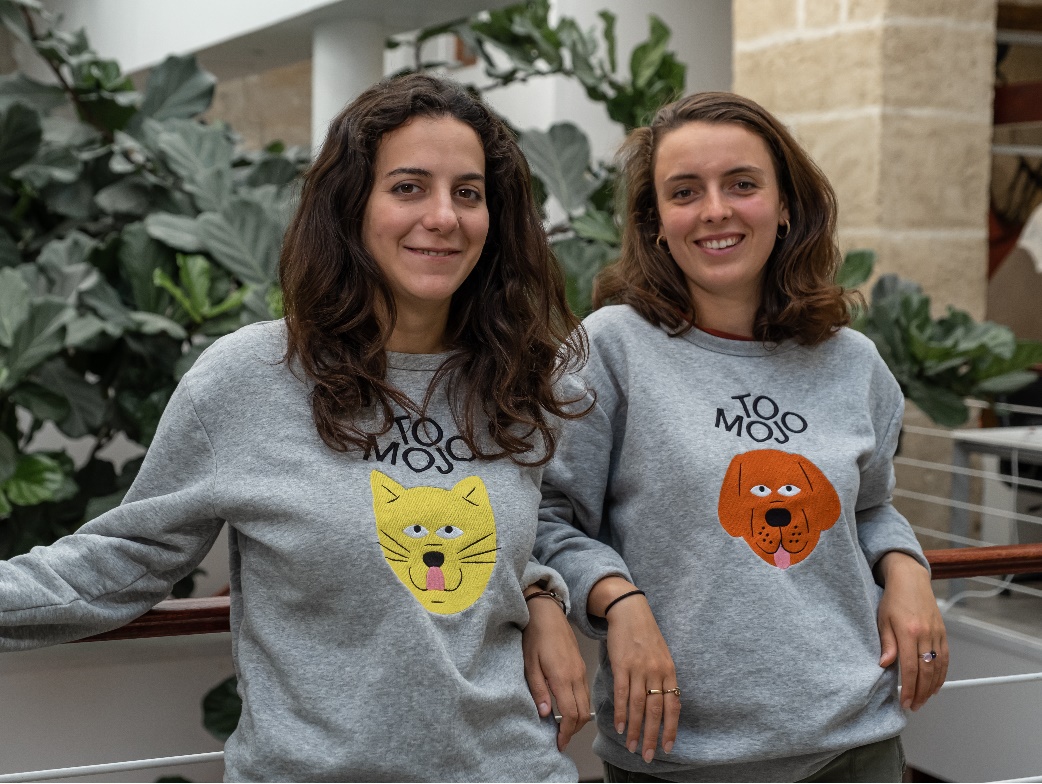 Illustration de l'article : Tomojo lance les premières croquettes pour chat à base d’insectes en France
