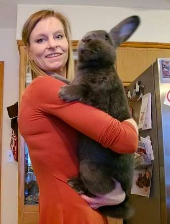 Un Couple De Lapins Geants Adopte Un Bebe