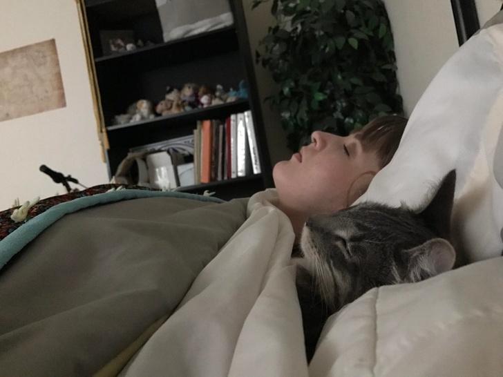 Illustration de l'article : Ces 20 photos de chats endormis sont le remède ultime contre la tristesse 