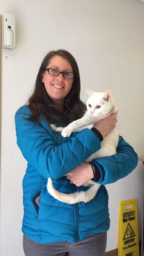 Illustration de l'article : Abandonné à 20 ans, ce chat sourd a connu une fin de vie heureuse grâce à la femme qui l'a adopté