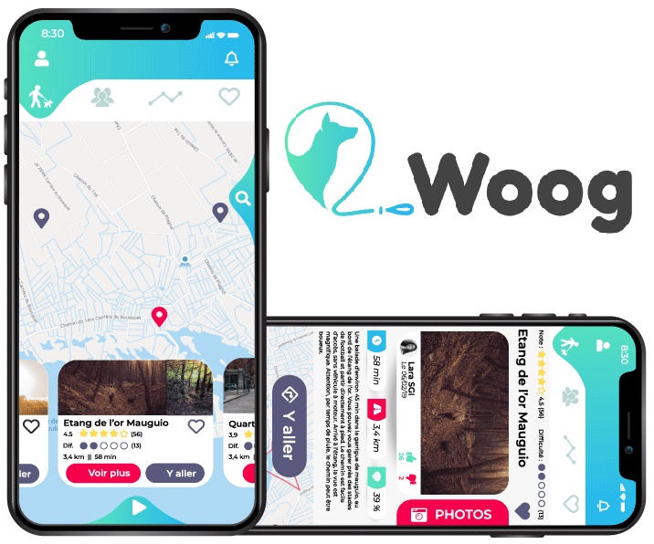 Illustration de l'article : Woog, une application pour des promenades canines plus fun