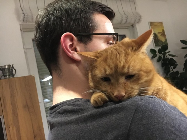 Illustration de l'article : Vous hésitez encore à adopter un chien ou un chat ? Ces 18 photos vous convaincront définitivement de le faire