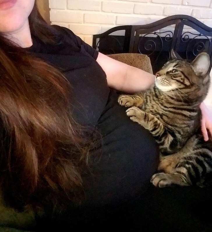 Illustration de l'article : Vous hésitez encore à adopter un chien ou un chat ? Ces 18 photos vous convaincront définitivement de le faire