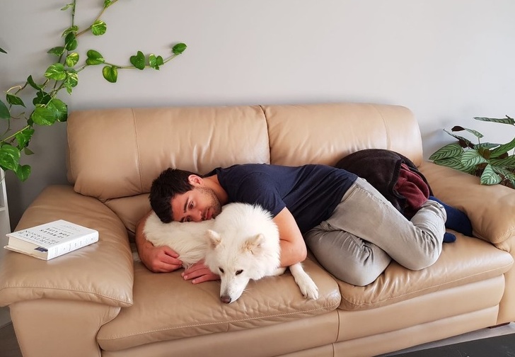 Illustration de l'article : Vous hésitez encore à adopter un chien ou un chat ? Ces 18 photos vous convaincront définitivement de le faire