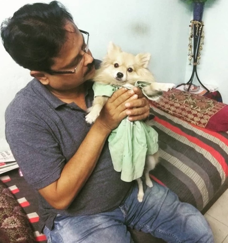 Illustration de l'article : Vous hésitez encore à adopter un chien ou un chat ? Ces 18 photos vous convaincront définitivement de le faire