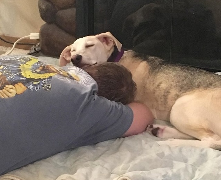 Illustration de l'article : Vous hésitez encore à adopter un chien ou un chat ? Ces 18 photos vous convaincront définitivement de le faire
