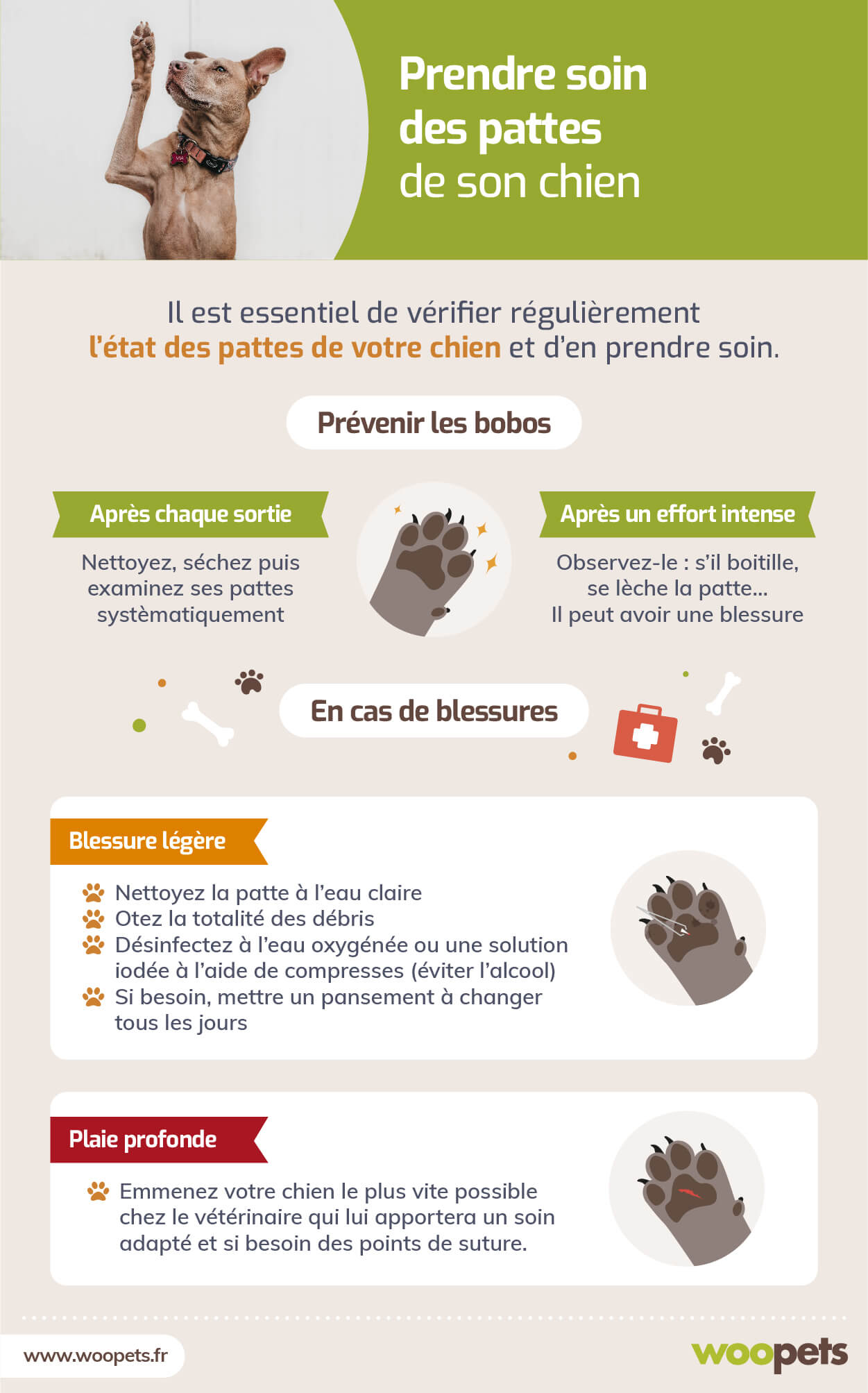 Coussinets du chien : rôle, comment en prendre soin ?