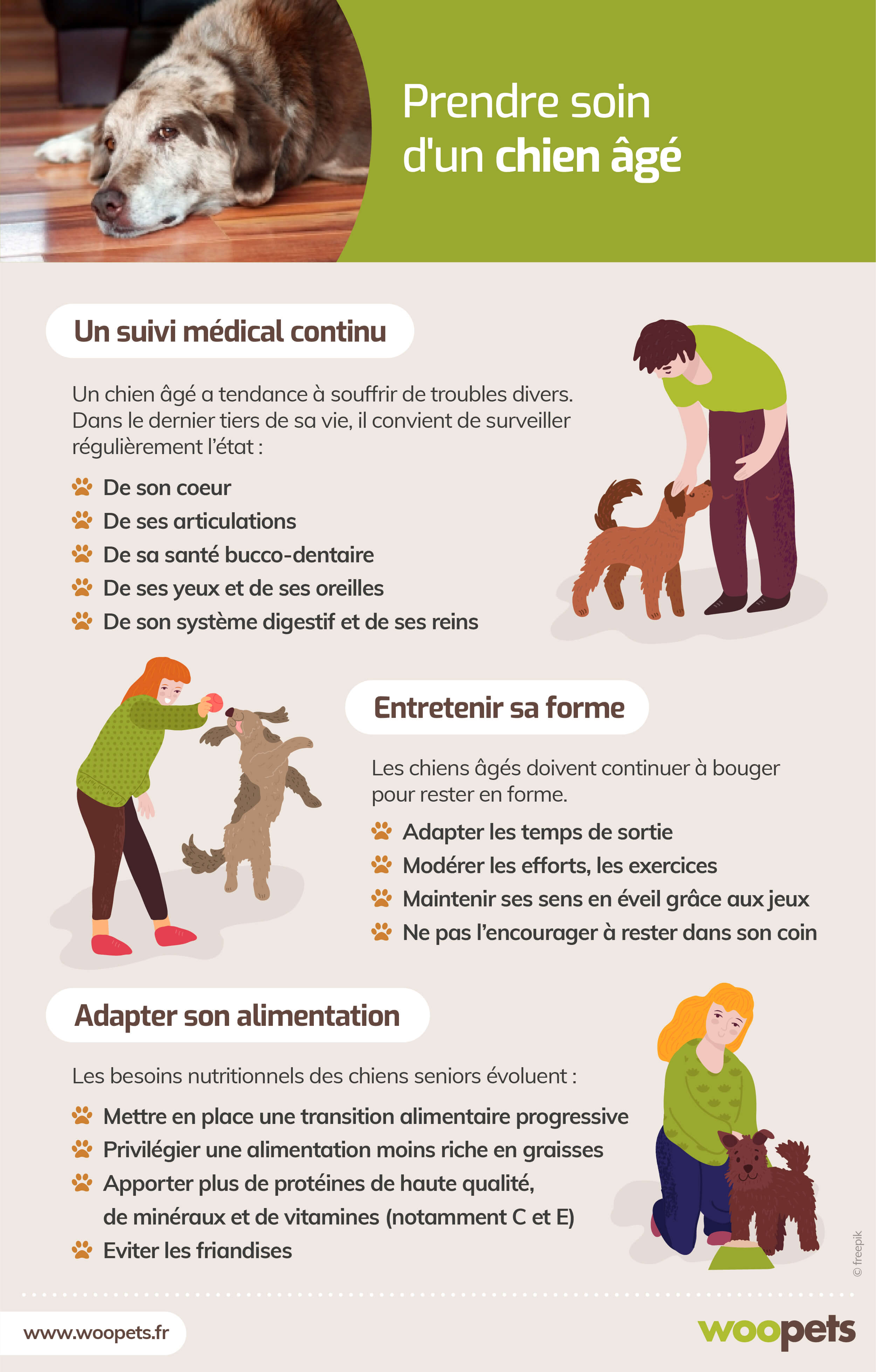 4 astuces pour prendre la température de votre chien