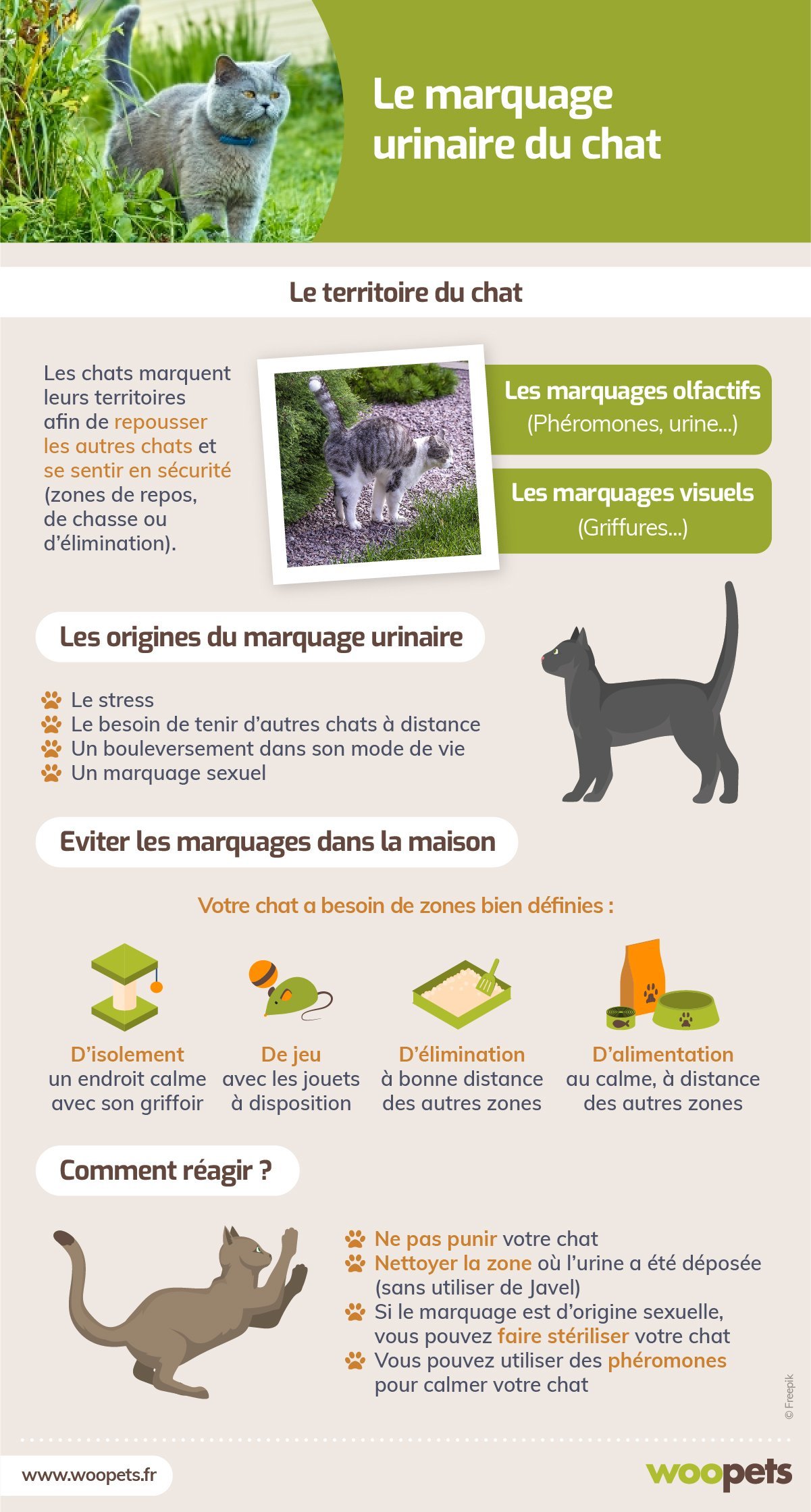 Marquage urinaire chez le chat ou le chien : quelles solutions