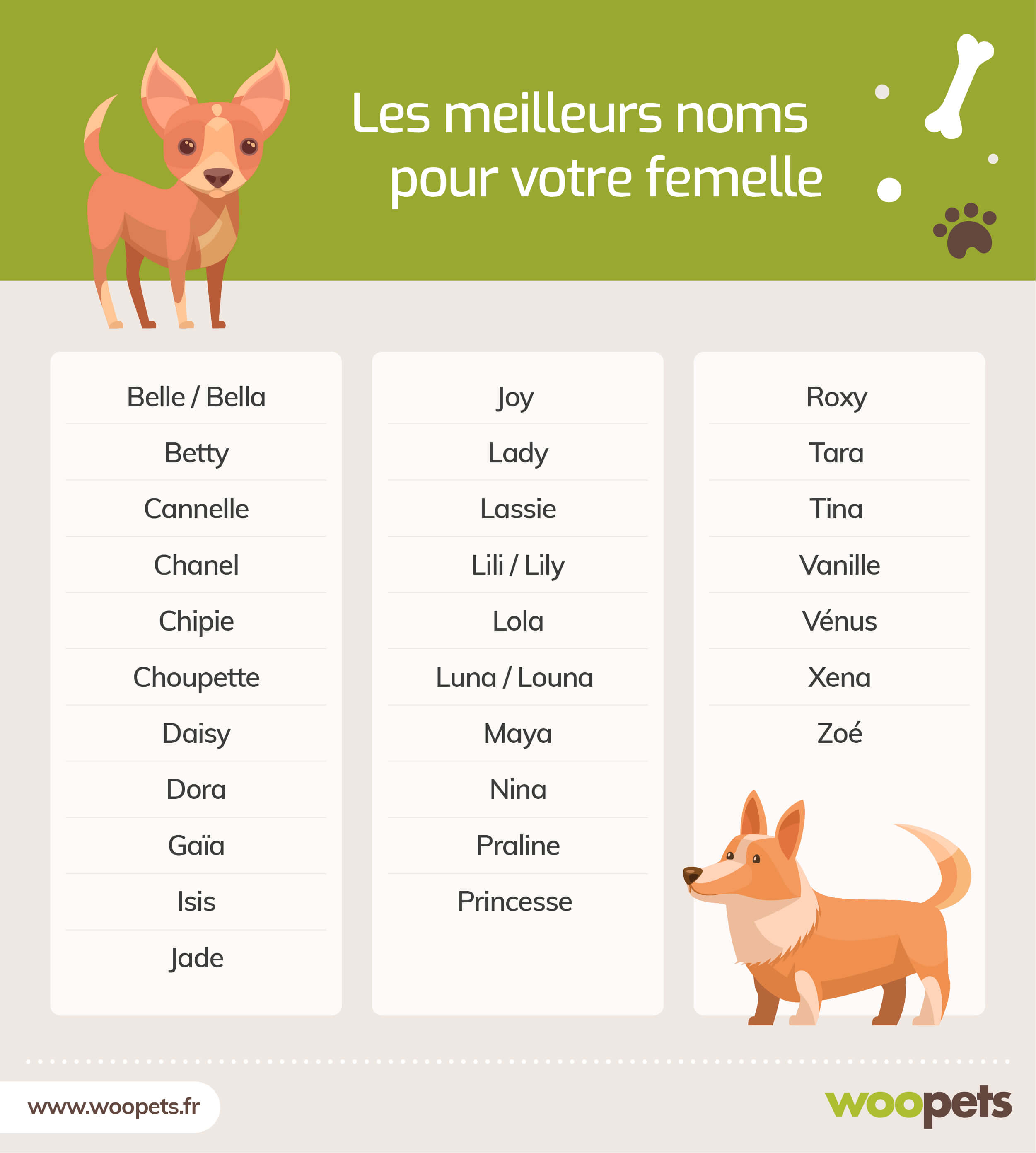 Les Meilleurs Noms Pour Un Chien Femelle Faites Votre Choix