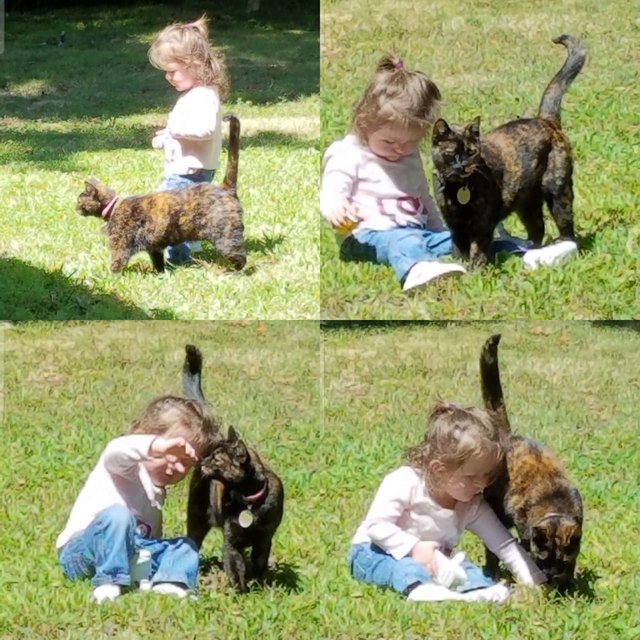 Illustration de l'article : 12 photos d'enfants qui n'ont d'yeux que pour leur chat et le montrent ! 