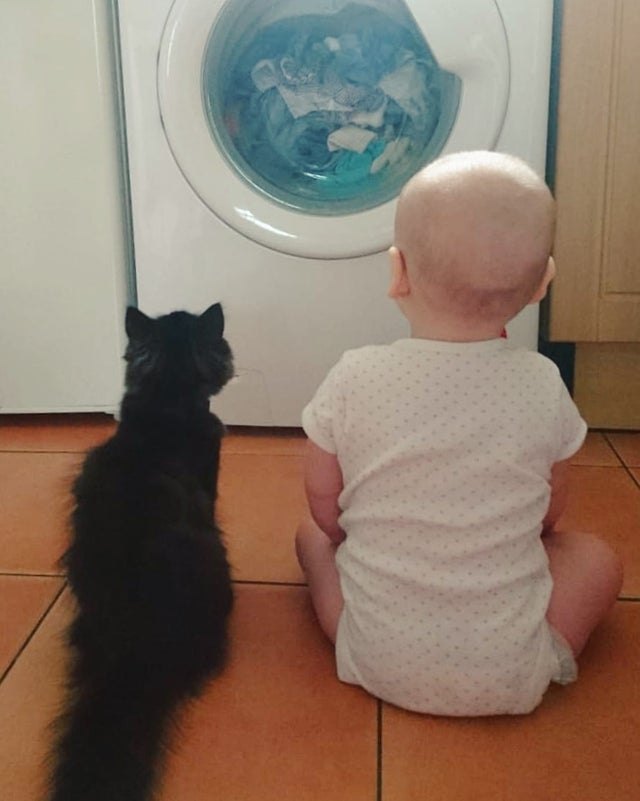 Illustration de l'article : 12 photos d'enfants qui n'ont d'yeux que pour leur chat et le montrent ! 