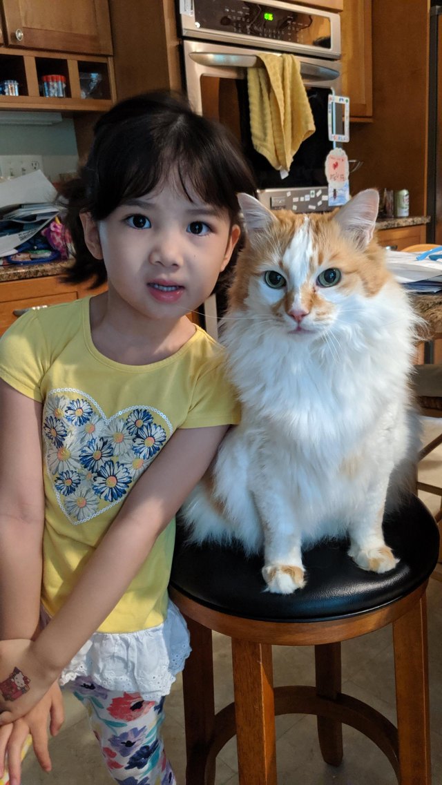 Illustration de l'article : 12 photos d'enfants qui n'ont d'yeux que pour leur chat et le montrent ! 