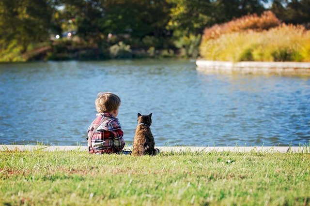 Illustration de l'article : 12 photos d'enfants qui n'ont d'yeux que pour leur chat et le montrent ! 