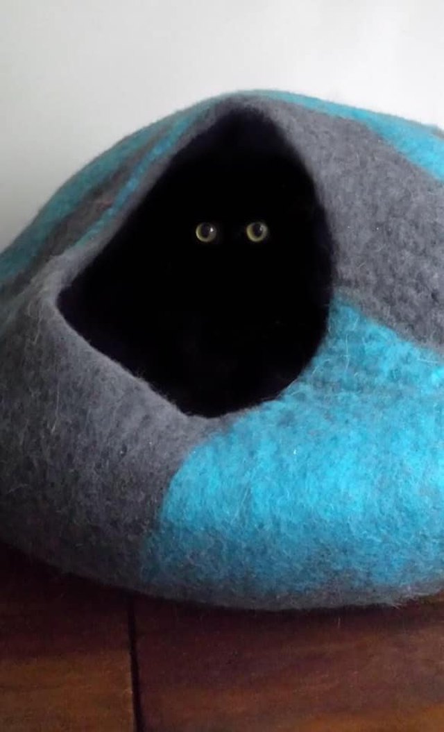 Illustration de l'article : 20 photos de chats hilarantes, car prises au meilleur moment possible !