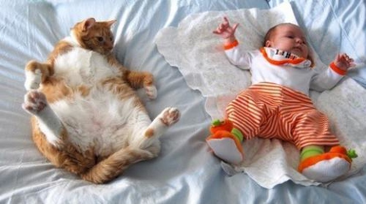 Illustration de l'article : 15 photos montrant que rien n’égale les liens entre animaux de compagnie et humains