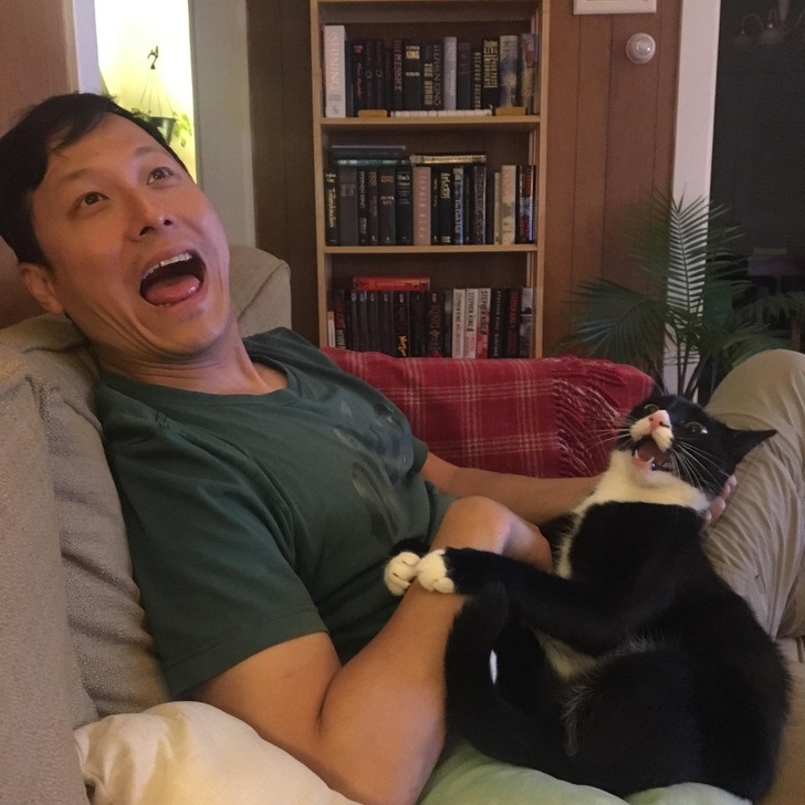 Illustration de l'article : 15 photos montrant que rien n’égale les liens entre animaux de compagnie et humains