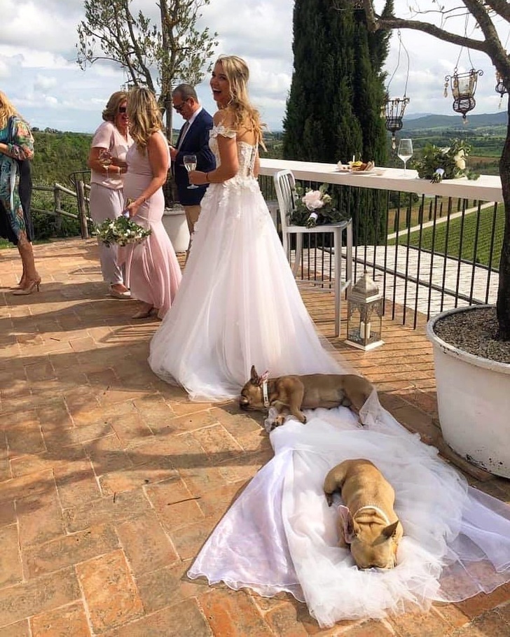 Illustration de l'article : 15 photos montrant que rien n’égale les liens entre animaux de compagnie et humains