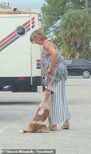 Illustration de l'article : Une jeune femme placée en détention suite à une vidéo la montrant frapper et pendre son chien…elle prétend l’éduquer !