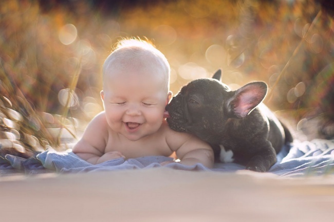 https://www.woopets.fr/assets/ckeditor/2019/sep/actualities/7107/originale/542705-452010-R3L8T8D-650-baby-dog-friendship-french-bulldog-ivette-ivens-1-650-681c2190de-1484633797.jpg