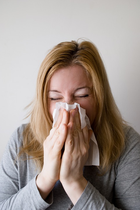 Illustration de l'article : Allergies aux chats : des chercheurs auraient découvert plusieurs méthodes pour les éradiquer !