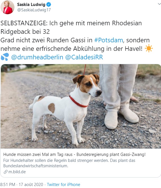 Illustration de l'article : Sortir son chien deux fois par jour pendant une heure : la nouvelle loi du gouvernement allemand en faveur du bien-être animal 