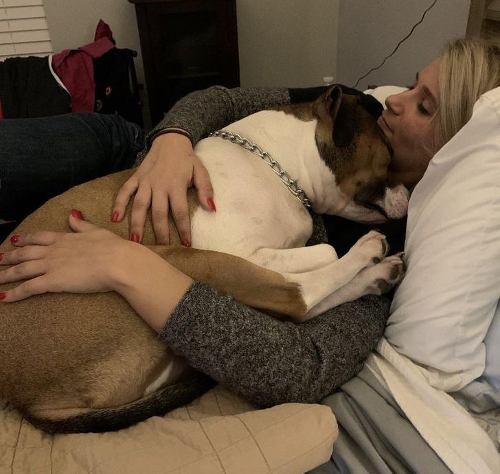 Illustration de l'article : 18 photos attendrissantes d'animaux avec leurs meilleurs amis qui prouvent que l'amour n'a pas de barrière