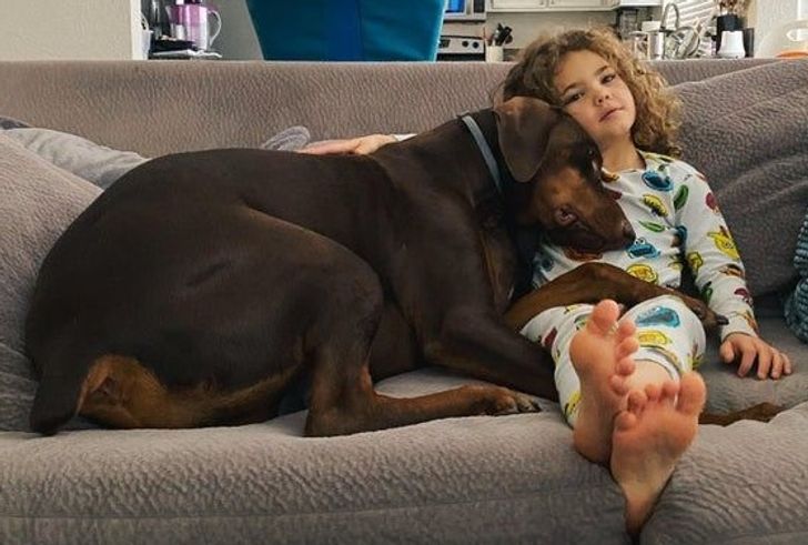 Illustration de l'article : 18 photos attendrissantes d'animaux avec leurs meilleurs amis qui prouvent que l'amour n'a pas de barrière