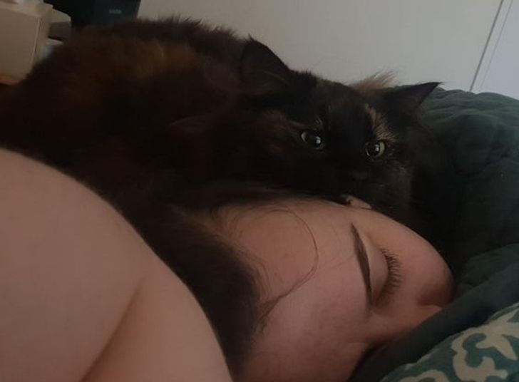 Illustration de l'article : 18 photos attendrissantes d'animaux avec leurs meilleurs amis qui prouvent que l'amour n'a pas de barrière