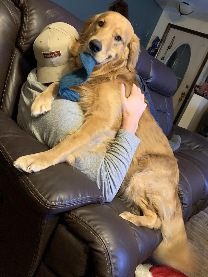 Illustration de l'article : 18 photos attendrissantes d'animaux avec leurs meilleurs amis qui prouvent que l'amour n'a pas de barrière