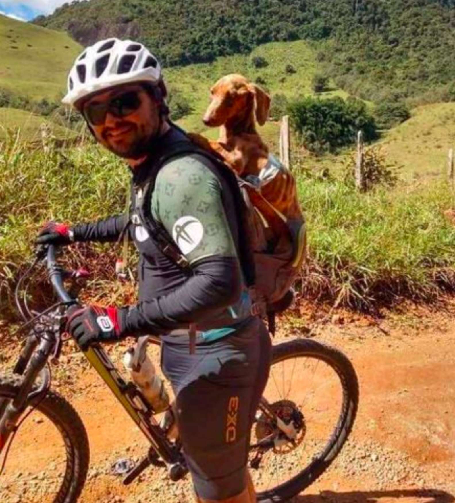 Illustration de l'article : Un cycliste stoppe son itinéraire pour sauver un Teckel abandonné sur le bord de la route et l'adopte