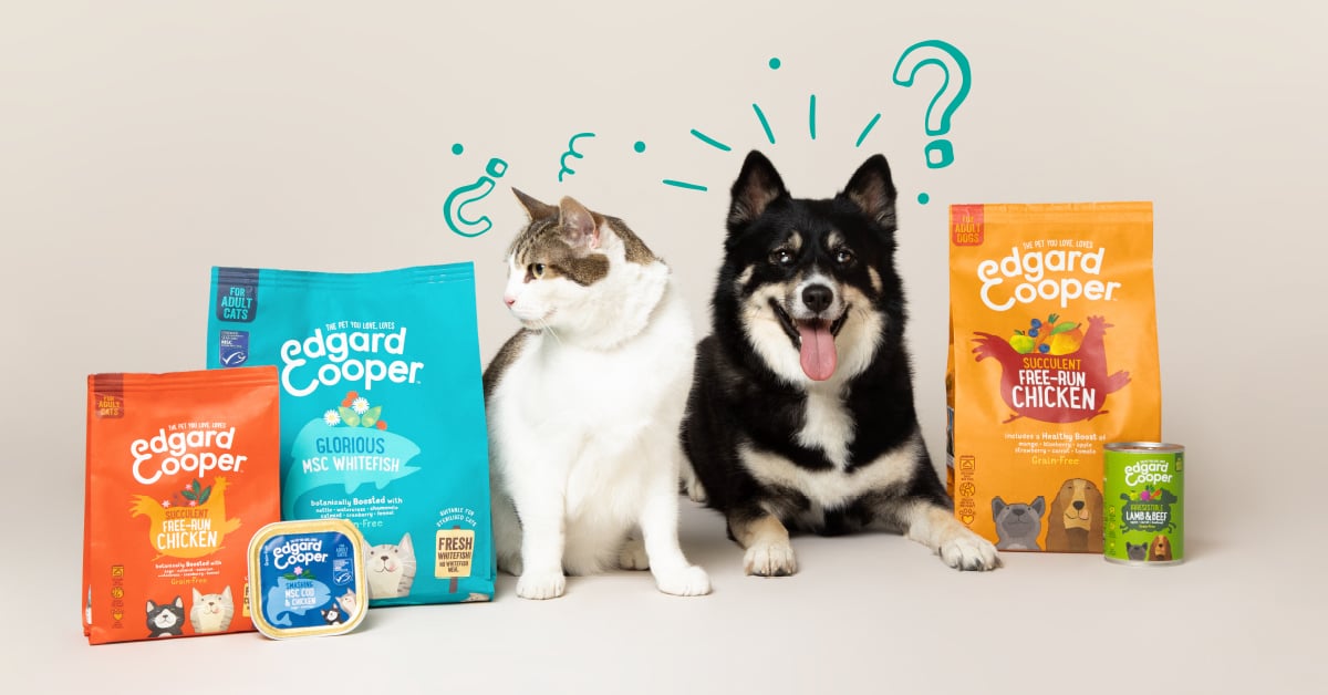Illustration de l'article : Découvrez pourquoi cette marque de petfood a décidé de reverser 1 % de son chiffre d'affaires aux animaux dans le besoin