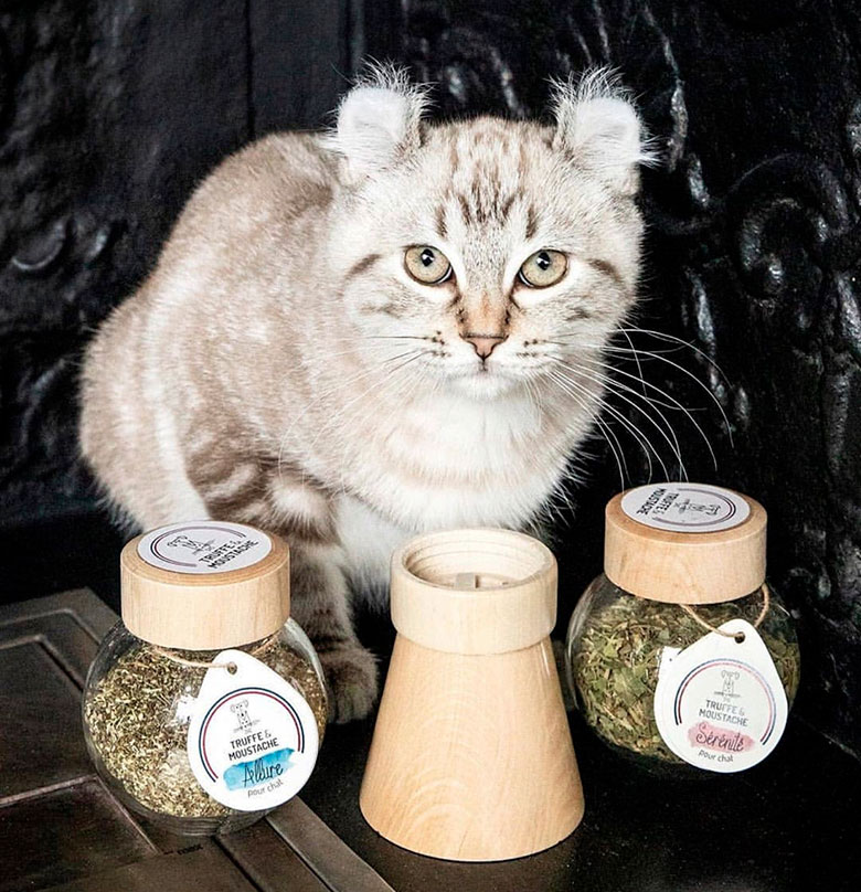Illustration de l'article : Découvrez le concept unique des compléments alimentaires Truffe & Moustache pour chien et chat