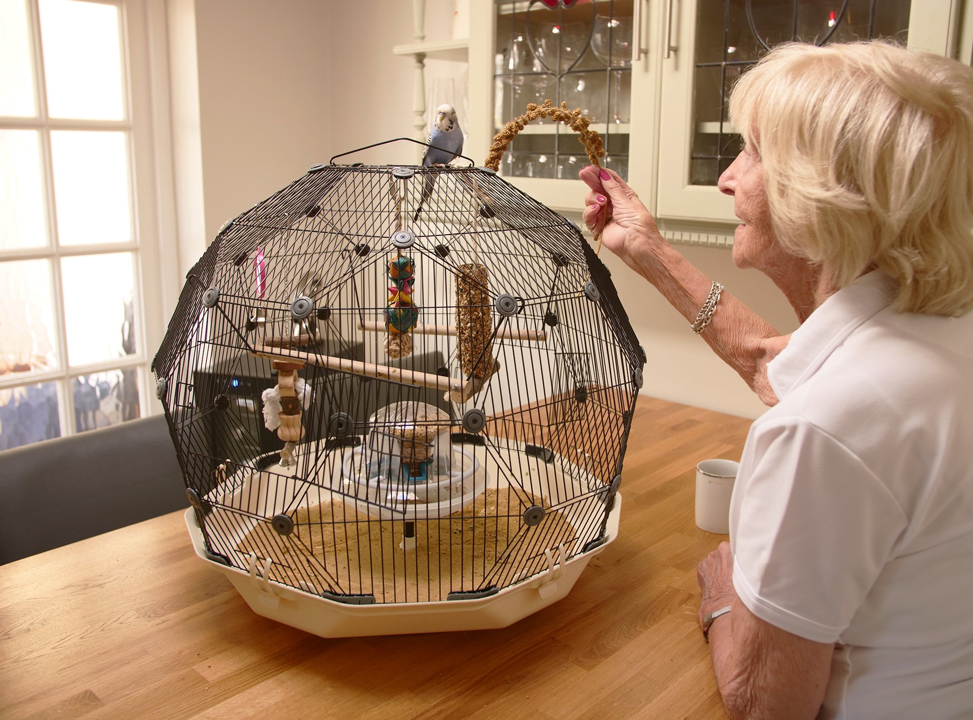 Est-il possible de repenser le design des cages à oiseaux ?