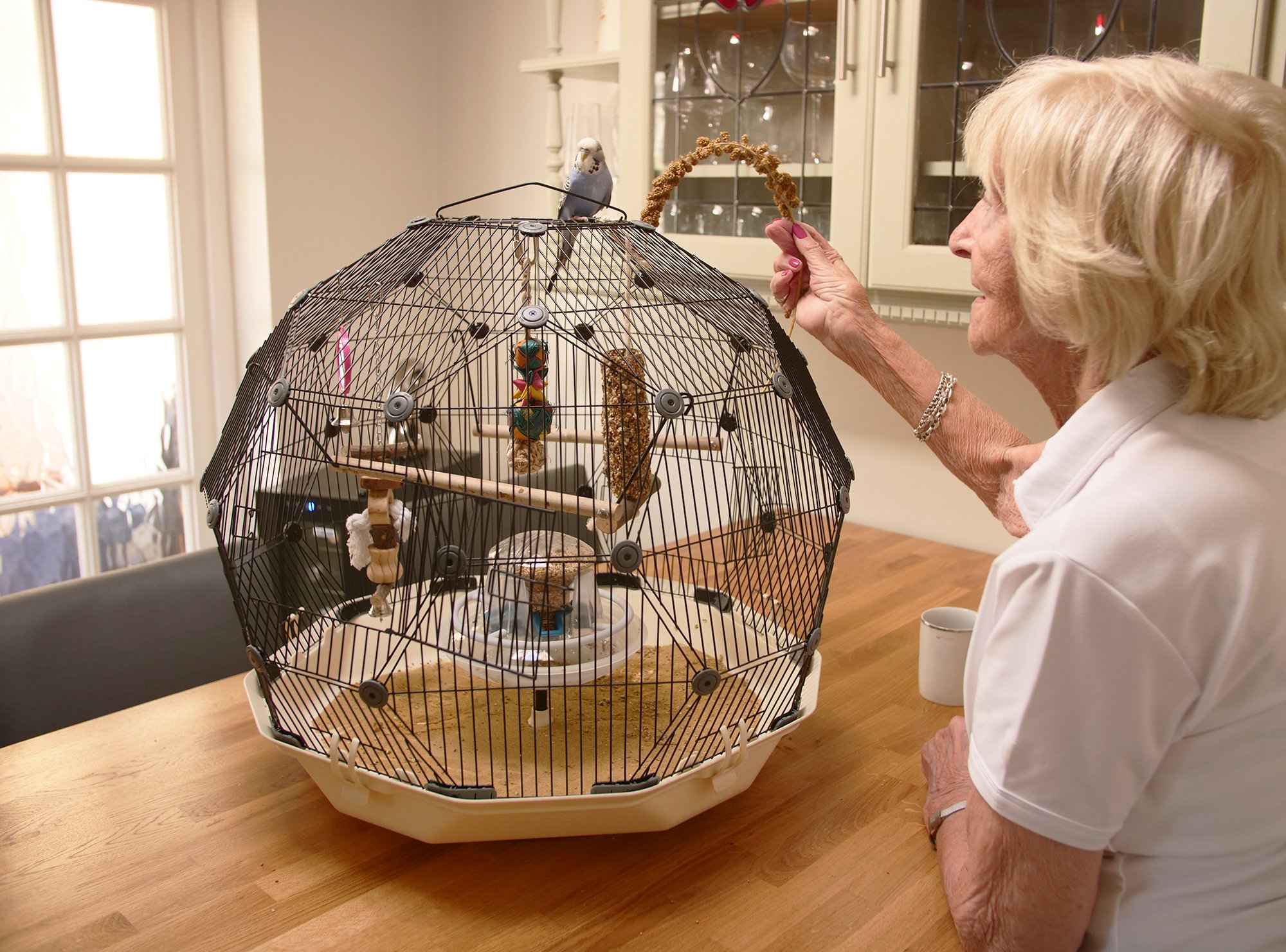 COMMENT FABRIQUER UNE CAGE A OISEAUX