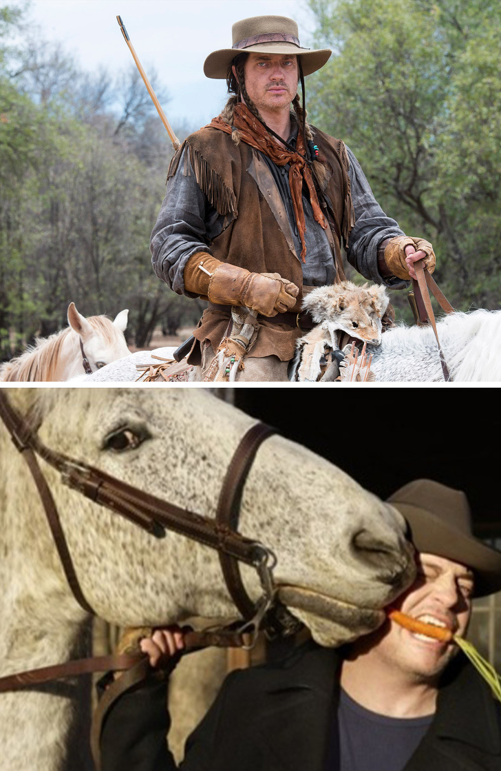 Illustration de l'article : 7 stars du grand écran qui ont trouvé leur animal de compagnie lors du tournage de leur film 