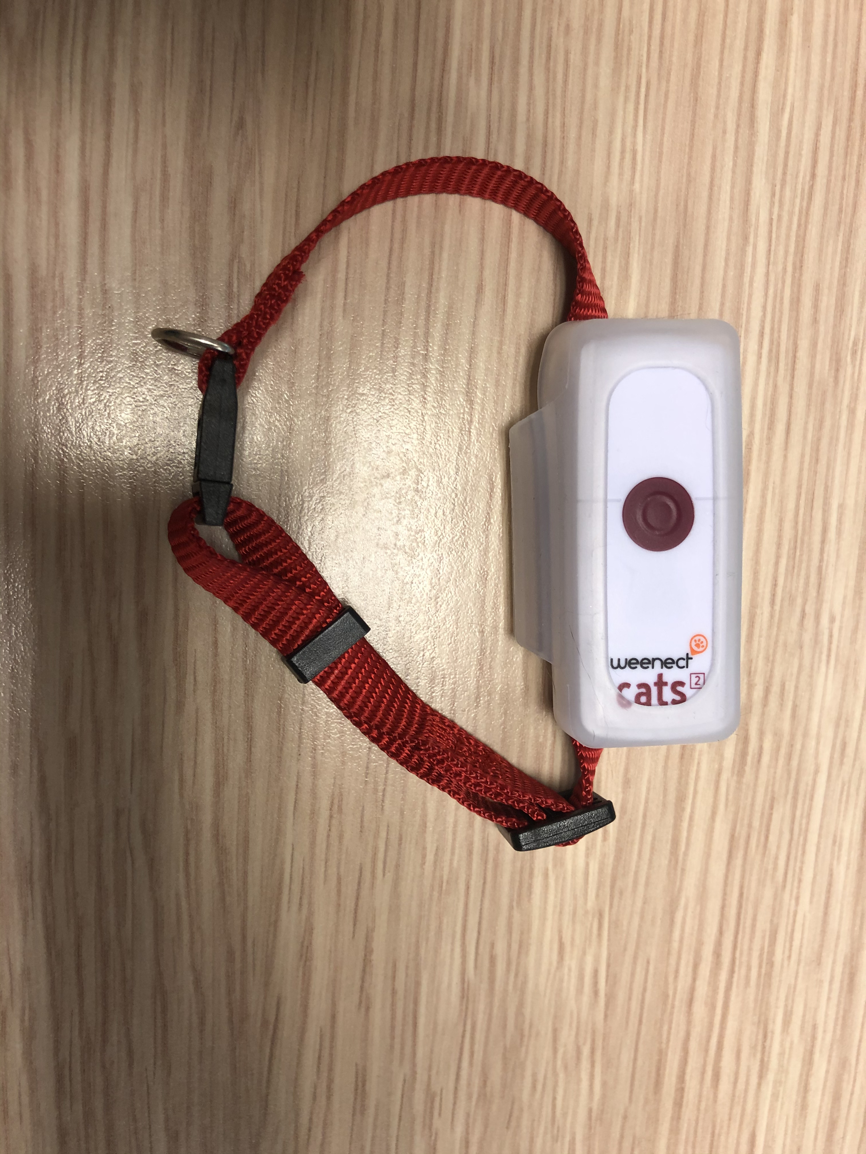 Collier GPS pour chat Weenect Cats 2 : Woopets a testé pour vous !