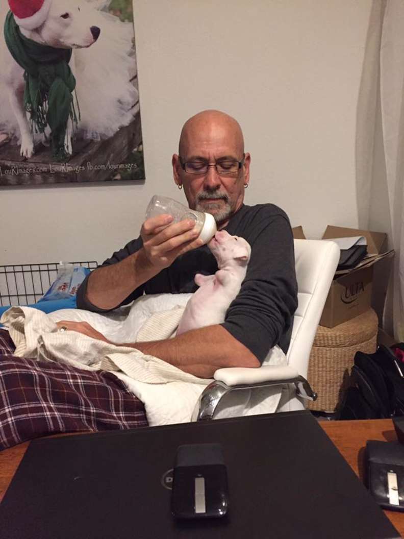 Illustration de l'article : Condamné quelques heures après sa naissance, ce chien handicapé échappe à l'euthanasie 