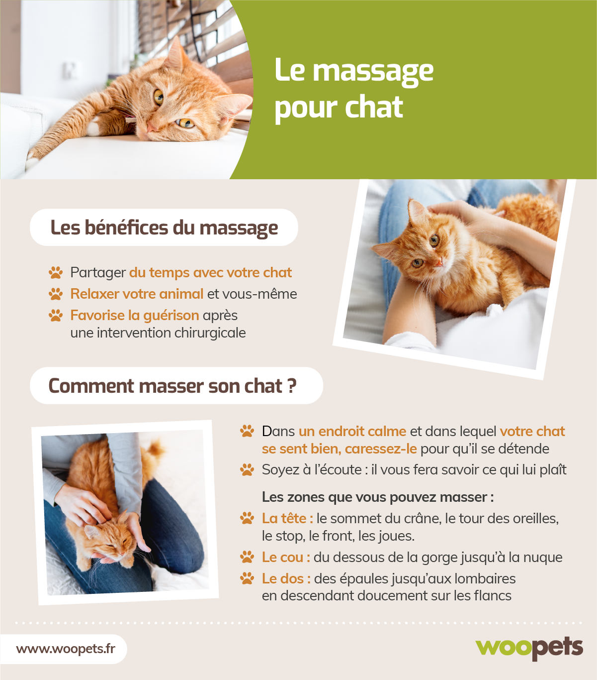 Le Massage Pour Chat Les Techniques Pour Lui Faire Du Bien