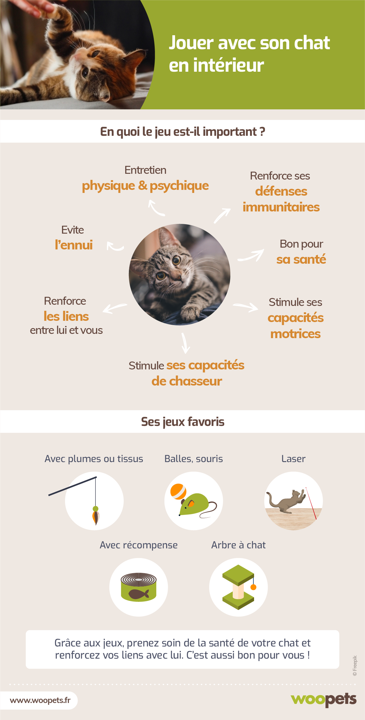 Pourquoi Et Comment Jouer Avec Son Chat En Interieur Nos Conseils