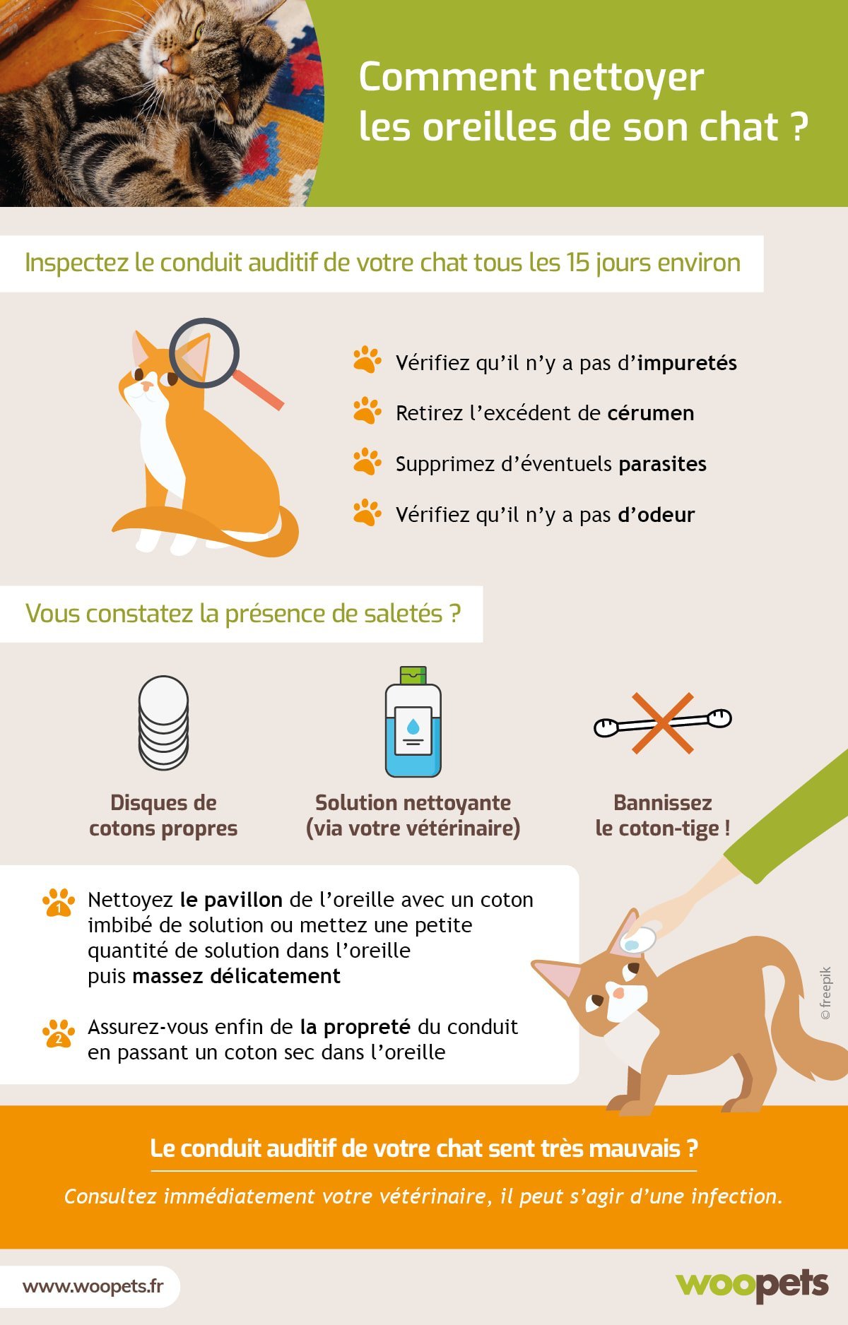 Les oreilles du chat - Comment prendre soin des oreilles de votre