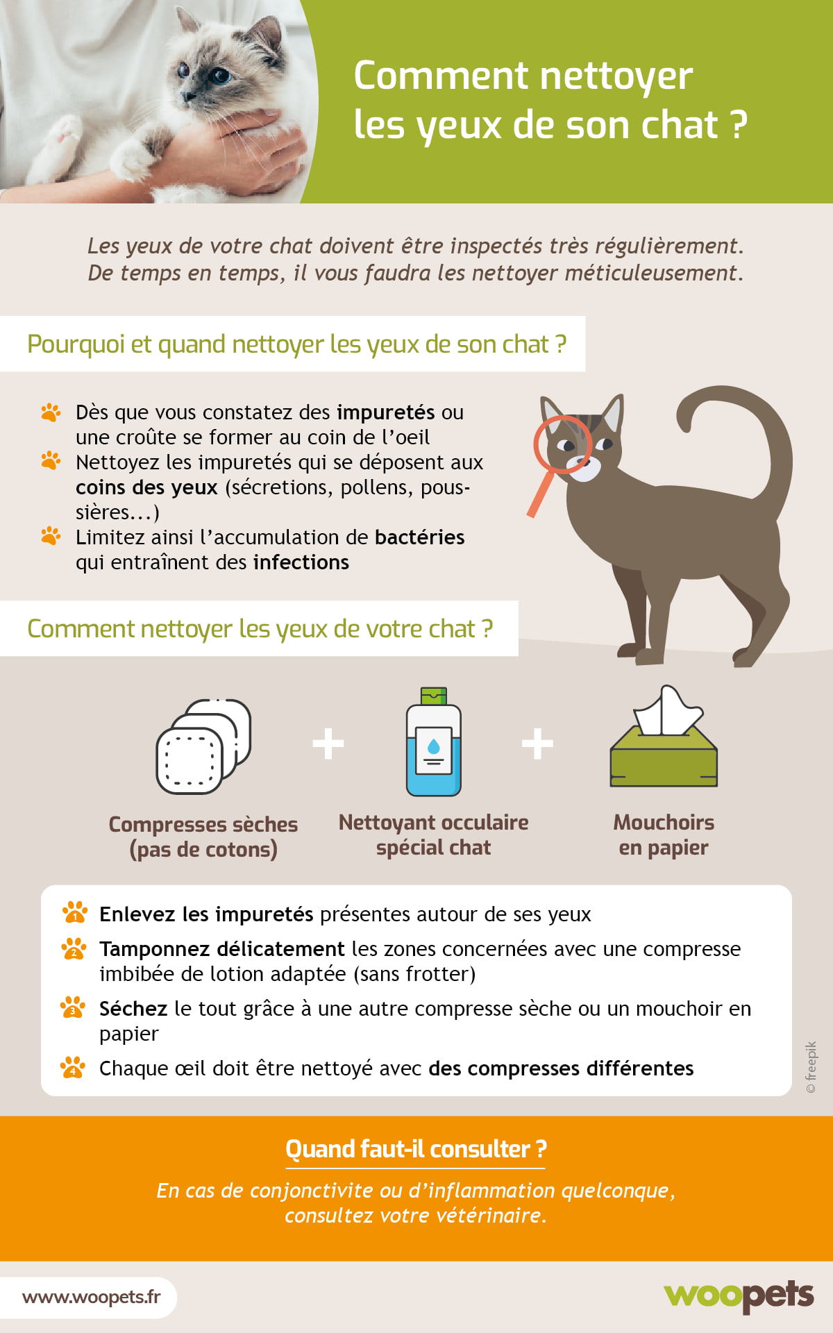 Comment prendre soin des yeux de son chat - Companimo Blog