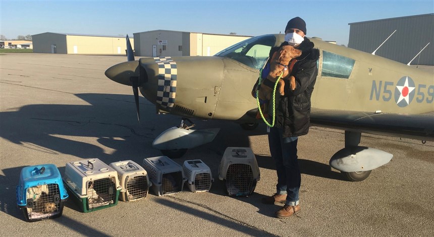 Illustration de l'article : Touché par le sort des animaux malades en période de pandémie, ce restaurateur bénévole utilise son avion pour leur trouver un refuge !