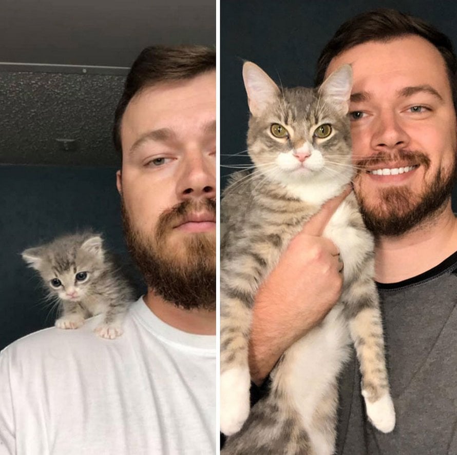 Illustration de l'article : 19 photos de chats avant et après l'adoption qui prouvent que l'amour peut tout changer !