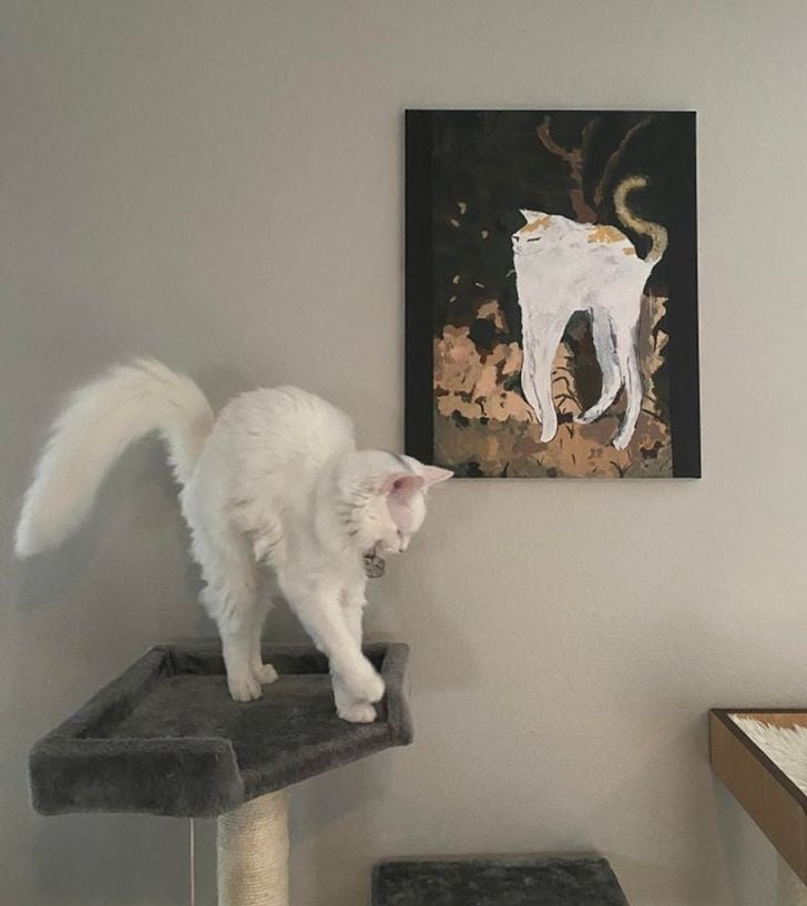 Illustration de l'article : 17 adorables chats capables de tout pour attirer l'attention de leur propriétaire