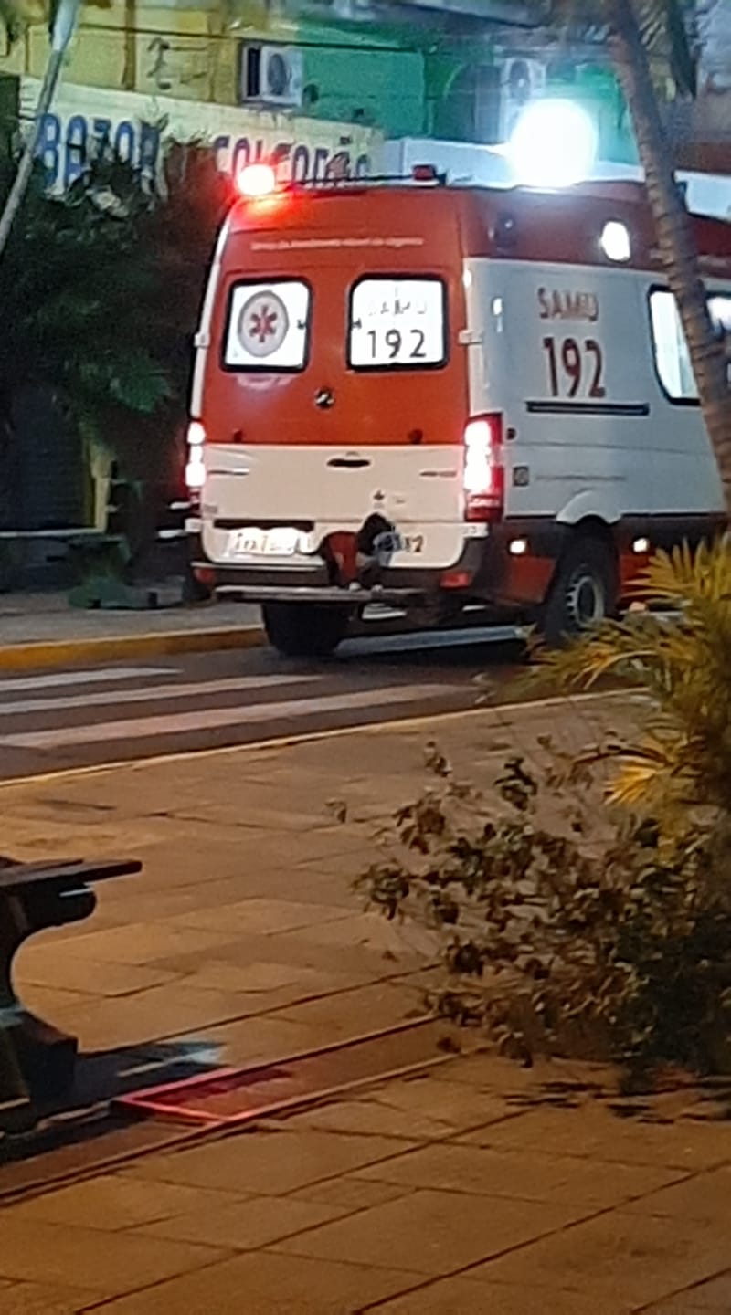 Illustration de l'article : Touché par la prise en charge de son maître par les ambulanciers, ce chien décide de s’inviter au voyage pour rester avec lui jusqu’au bout !