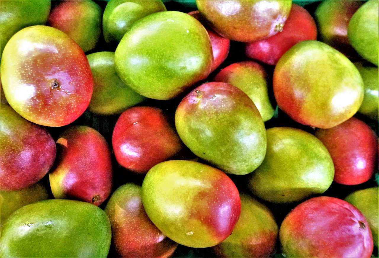 Illustration de l'article : 14 fruits et légumes que votre chien adorera