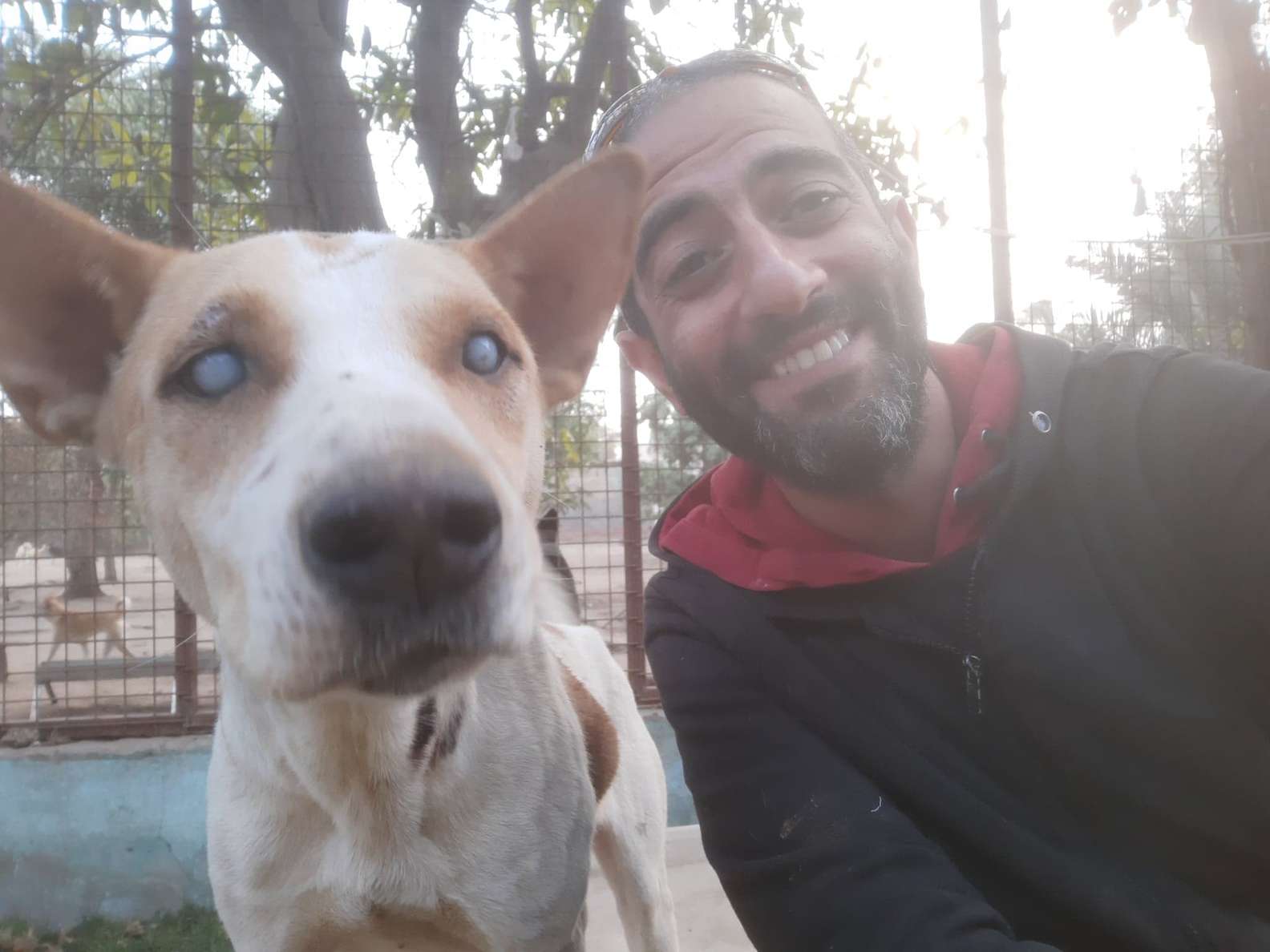 Illustration de l'article : Ce chien aveugle laisse exploser sa joie lorsqu’il entend la voix de celui qui l'a sauvé de plusieurs années d'errance !