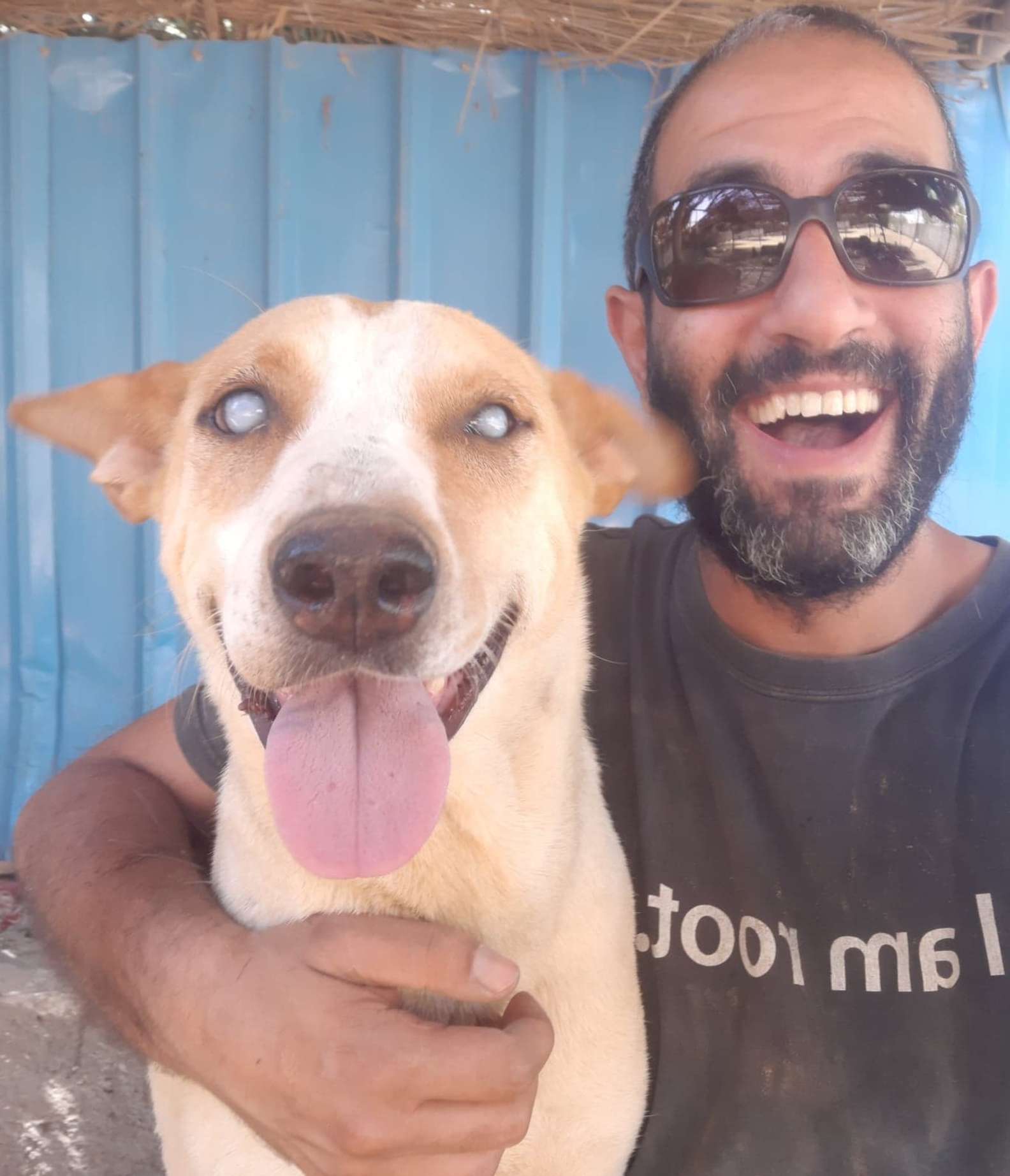 Illustration de l'article : Ce chien aveugle laisse exploser sa joie lorsqu’il entend la voix de celui qui l'a sauvé de plusieurs années d'errance !