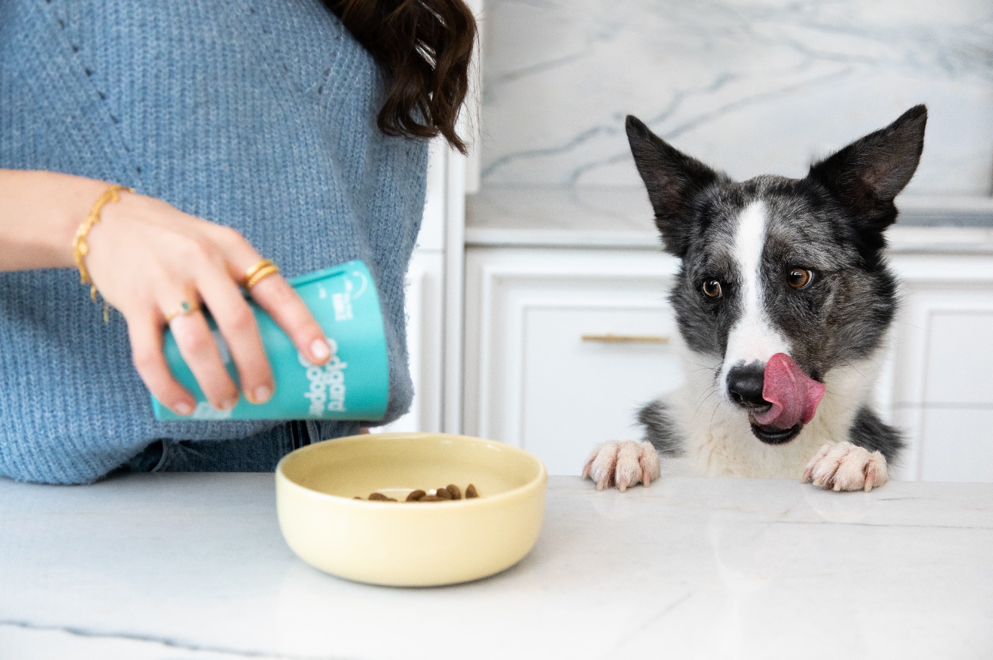 Illustration de l'article : Etes-vous sûr d’apporter un bon équilibre nutritionnel à votre chien ? Découvrez comment y parvenir !
